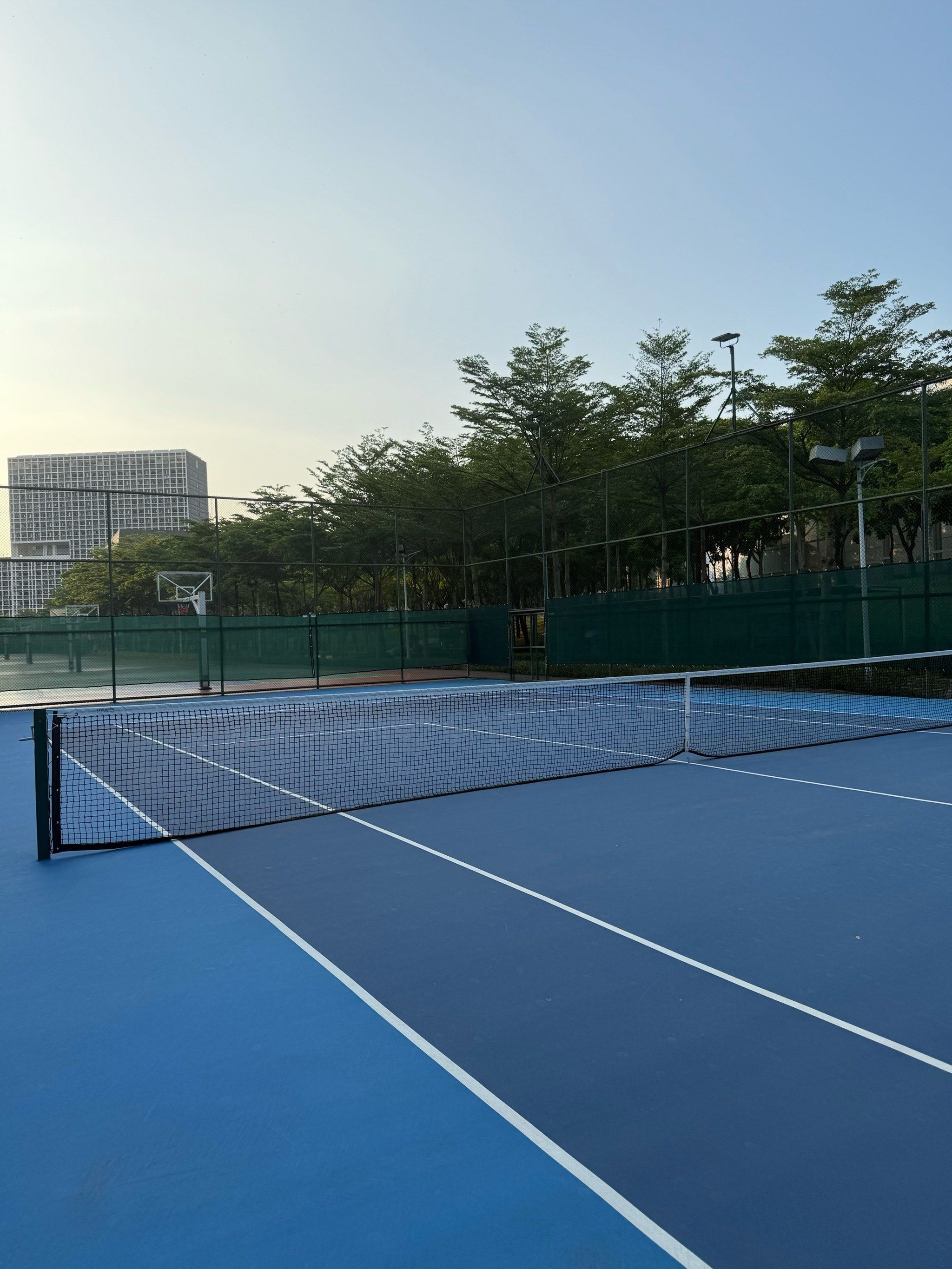 以弥补本土 以弥补本土