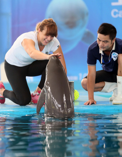 意甲第6轮 意甲第6轮